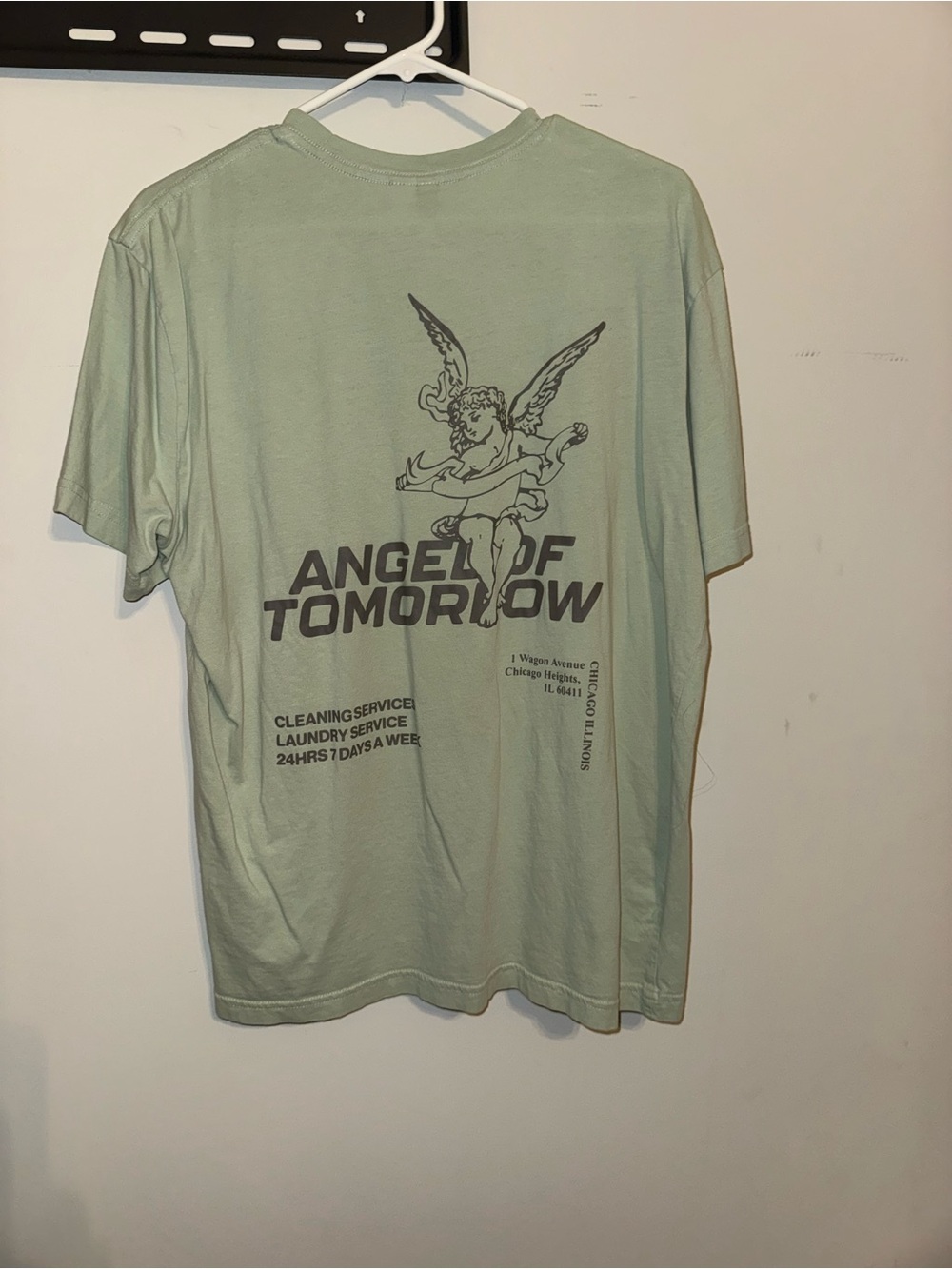 Angel of Tomorrow Graphic Tee - Sage Green